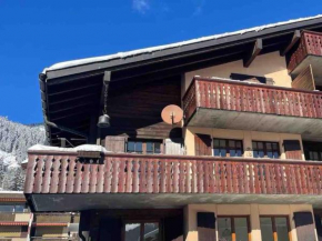Cosy Appartement dans chalet